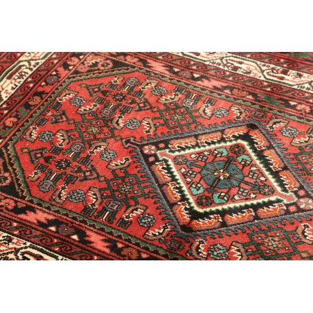 Tappeto Hamadan Persia verde marrone 100x150