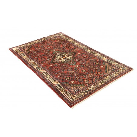 Tappeto Hamadan Persia verde rosso 100x157