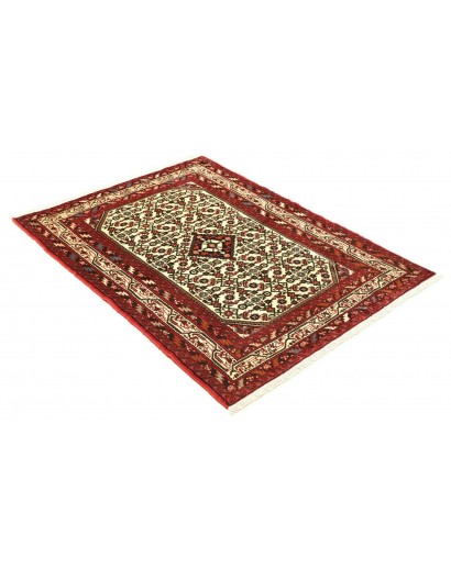 Tappeto Hamadan Persia marrone giallo 100x145