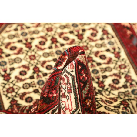 Tappeto Hamadan Persia marrone giallo 100x145