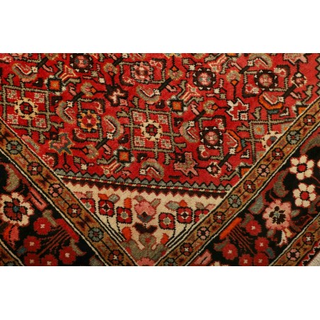 Tappeto Hamadan Persia marrone blu 150x228