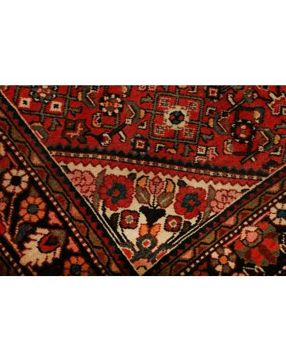 Tappeto Hamadan Persia marrone 155x222