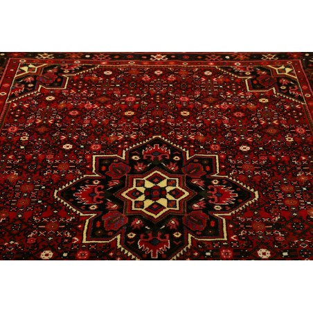 Tappeto Hamadan Persia marrone 150x208