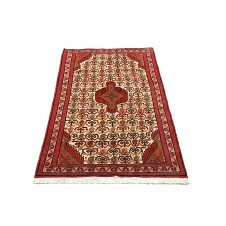 Tappeto Hamadan Persia marrone 75x130