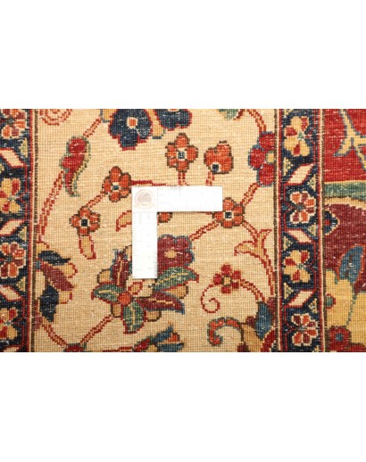 Tappeto Aryana Fine Pakistan marrone grigio 242x340