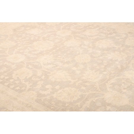 Tappeto Zigler Fine Pakistan bianco 270x356