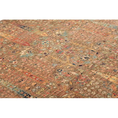 Tappeto Shahi Fine Pakistan marrone 199x289