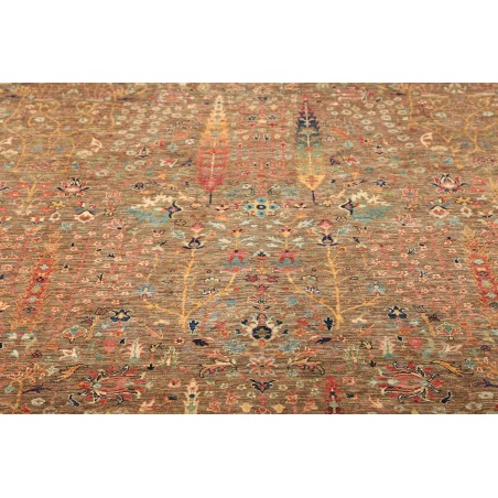 Tappeto Shahi Fine Pakistan marrone 199x289