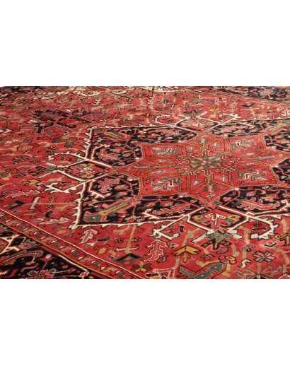 Tappeto Gorawan Persia marrone giallo 238x340