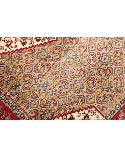 Tappeto Ardabil Persia marrone grigio 72x105