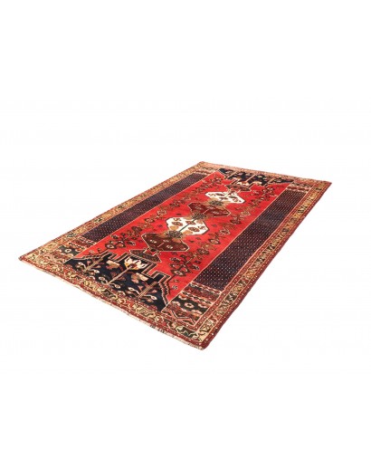 Tappeto Shiraz Persia rosso verde 163x260
