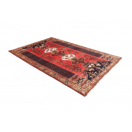 Tappeto Shiraz Persia rosso verde 163x260