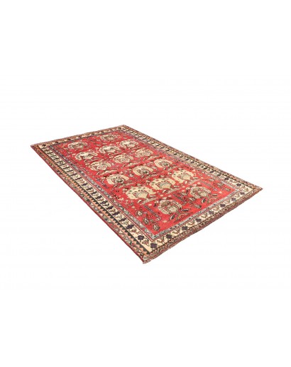 Tappeto Shiraz Persia rosso giallo 155x240