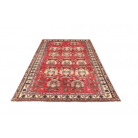 Tappeto Shiraz Persia rosso giallo 155x240