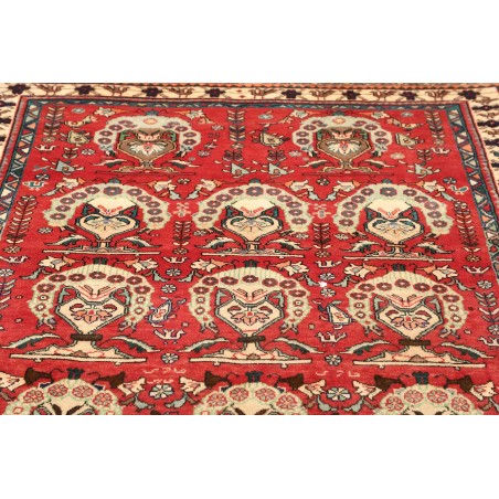 Tappeto Shiraz Persia rosso giallo 155x240