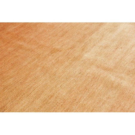 Tappeto Shayan Pakistan marrone 151x204