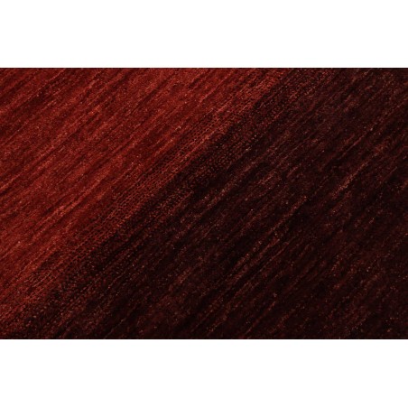 Tappeto Shayan Pakistan marrone rosso 147x204
