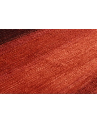 Tappeto Shayan Pakistan marrone rosso 147x204