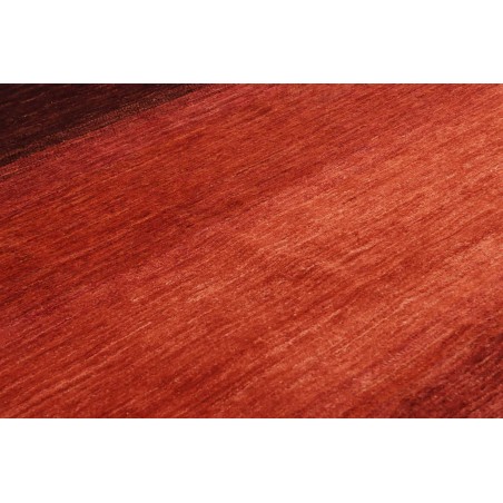 Tappeto Shayan Pakistan marrone rosso 147x204