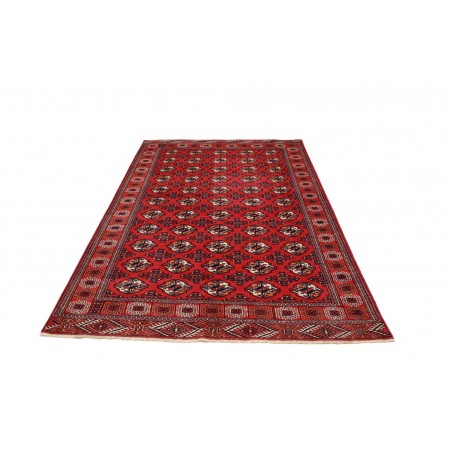 Tappeto Torkaman Persia marrone blu 150x217