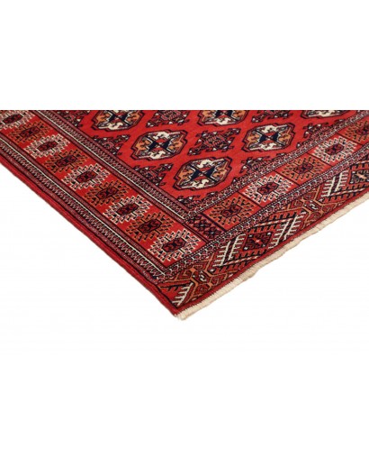 Tappeto Torkaman Persia marrone blu 150x217