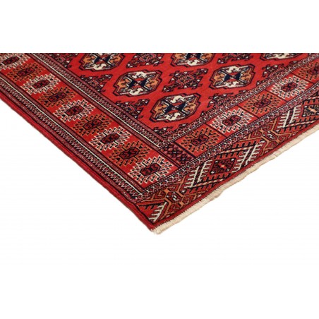 Tappeto Torkaman Persia marrone blu 150x217