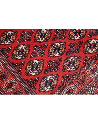 Tappeto Torkaman Persia marrone blu 150x217