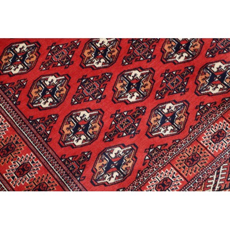Tappeto Torkaman Persia marrone blu 150x217