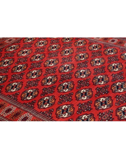 Tappeto Torkaman Persia marrone blu 150x217