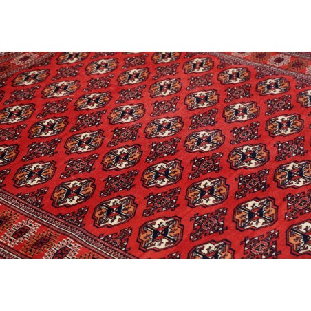 Tappeto Torkaman Persia marrone blu 150x217