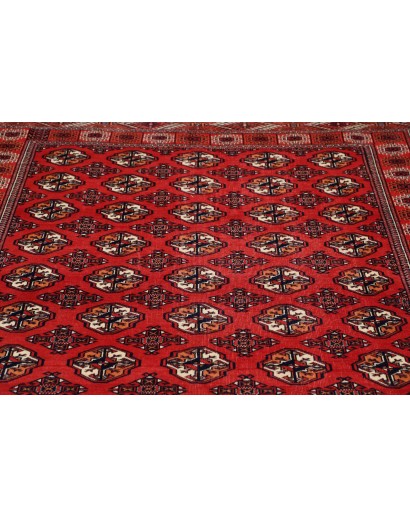 Tappeto Torkaman Persia marrone blu 150x217