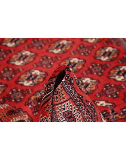 Tappeto Torkaman Persia marrone blu 150x217
