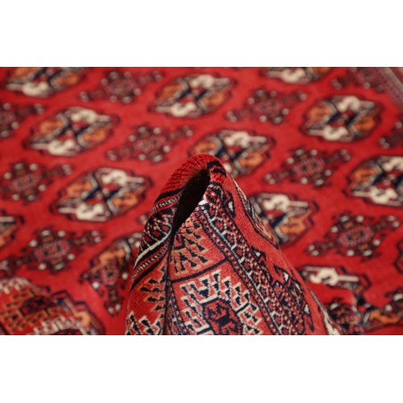 Tappeto Torkaman Persia marrone blu 150x217