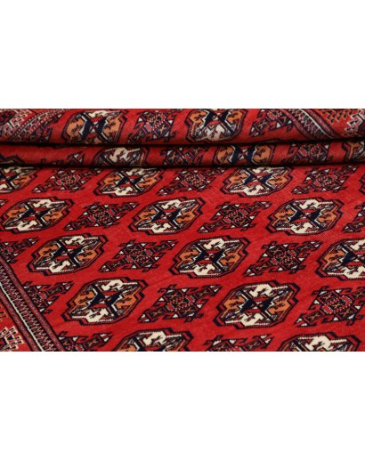 Tappeto Torkaman Persia marrone blu 150x217